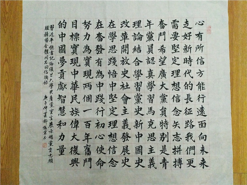 漕河泾- 郁织裳 -习近平给复旦大学共产党宣展示馆党员志愿服务队全体同志回信摘录.jpg